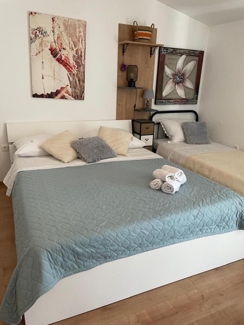 Apartman Suzana Sindija Bibinje Exterior foto