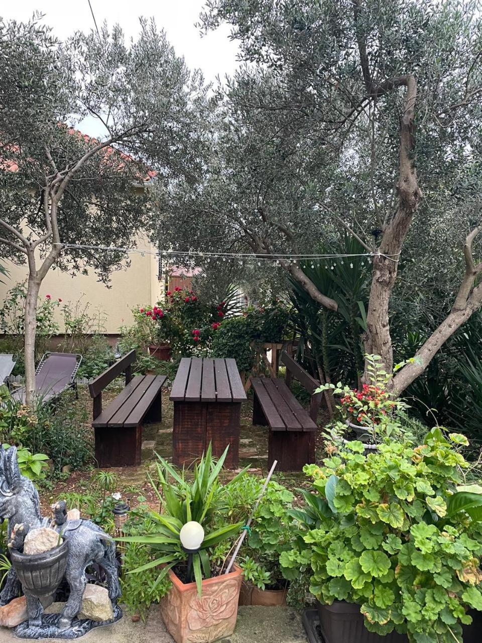 Apartman Suzana Sindija Bibinje Exterior foto